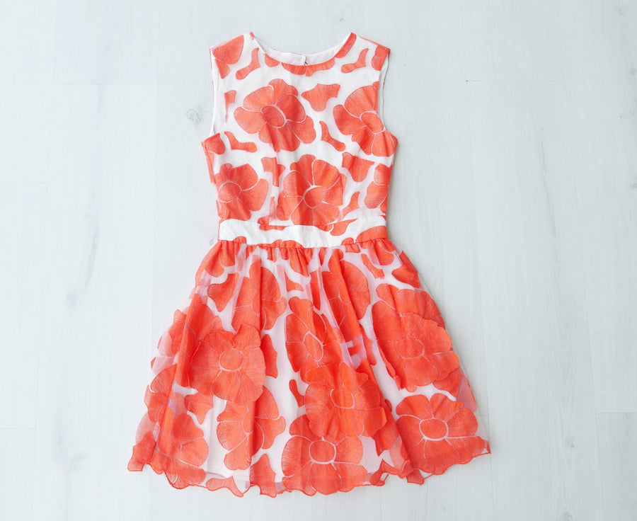 Floral Embroidered Applique Dress - Drop 28